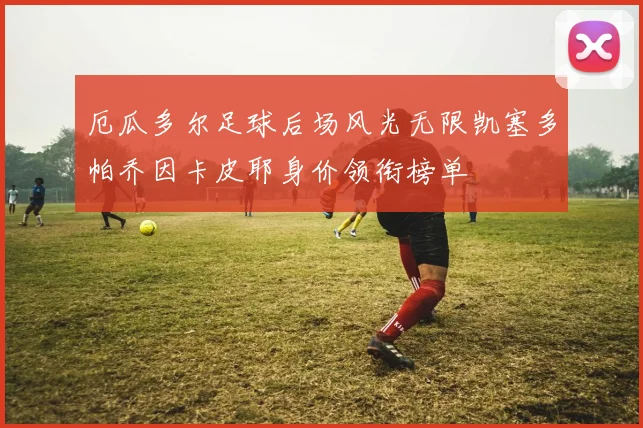 厄瓜多尔足球后场风光无限凯塞多帕乔因卡皮耶身价领衔榜单